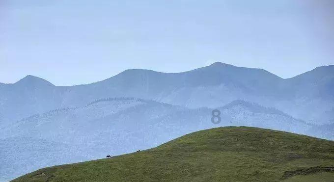 88影视